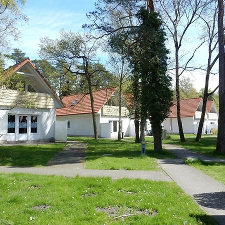 Hinter Den Duenen D80 Lägenhet Prerow Exteriör bild